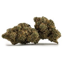 Blueberry Cobber Gt 2