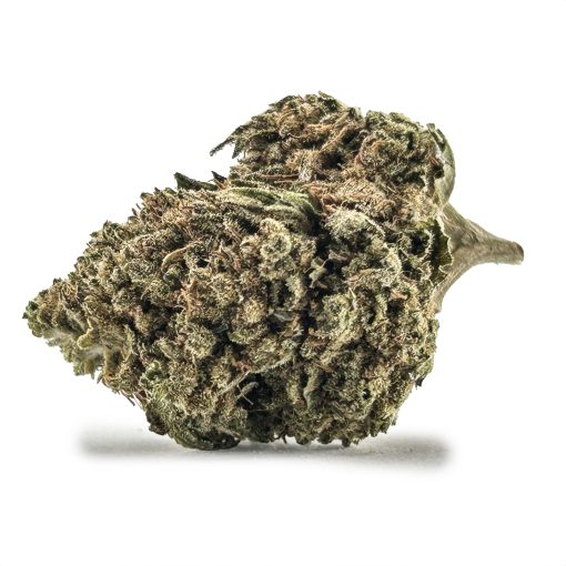 Cali Haze 1 Scaled