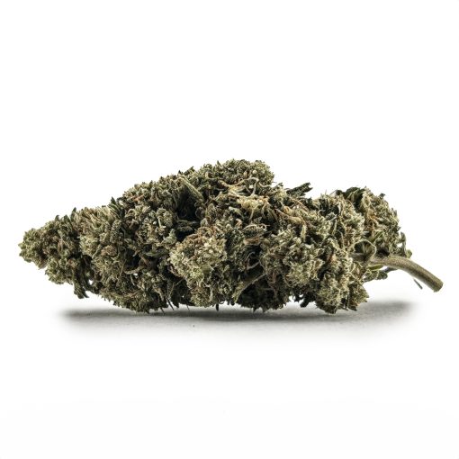 Kiwi Kush 1 Scaled