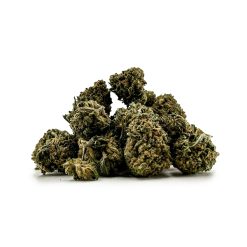 Strawberry Small Buds Cogollos 1