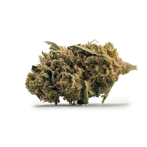 Shiva Skun Small Buds 1 2