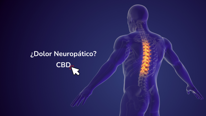Cbd Para El Dolor Neuropatico