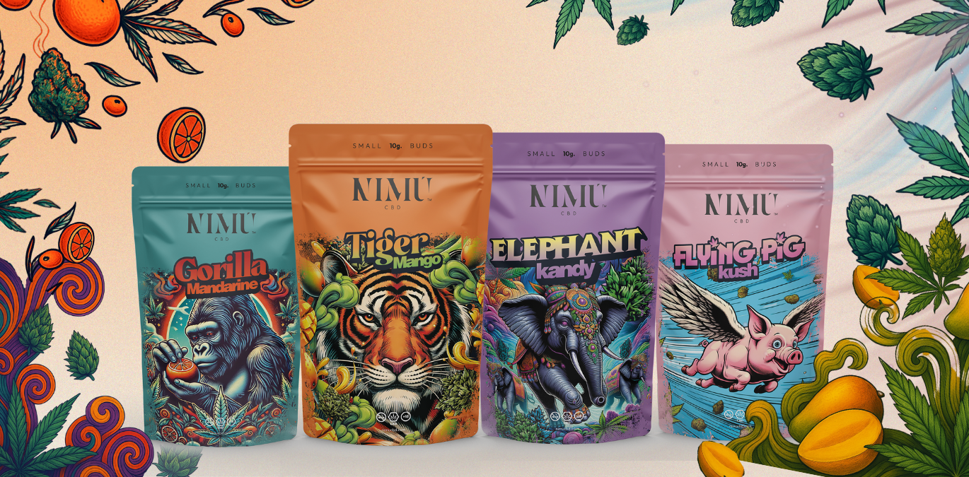 Inicio 3 Elepant (13)